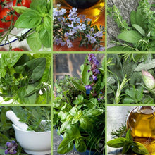 Load image into Gallery viewer, Seed Kit | Grow Your Own