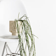 Load image into Gallery viewer, Carved Pot | 'Confetti'