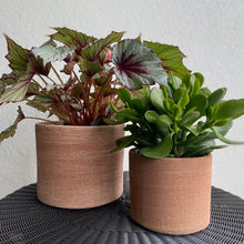 Load image into Gallery viewer, DeRoma Cylinder Pot | Terracotta