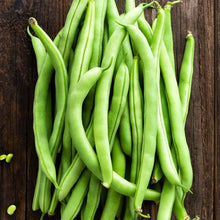 Load image into Gallery viewer, Beans 'Windsor Long Pod' | Vintage Heirloom Seeds