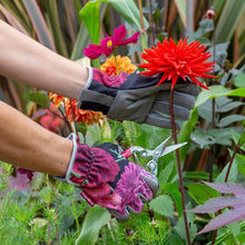 Load image into Gallery viewer, Gloves -  British Bloom  | Burgon & Ball