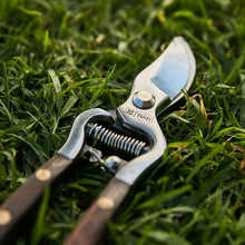 Load image into Gallery viewer, Secateurs - National Trust | Burgon & Ball