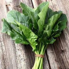 Load image into Gallery viewer, Spinach 'Bloomsdale' | Vintage Heirloom Seeds