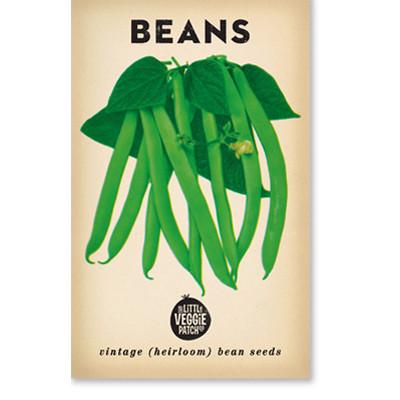 Windsor long pod Vintage Heirloom Bean Seeds by the Little Veggie Patch.
