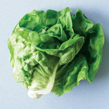Load image into Gallery viewer, Heirloom Seed Pack | Salad