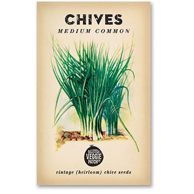 Medium Common Chives Vintage Heirloom Seeds  by The Little Veggie Patch