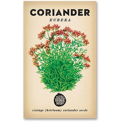 Eureka Coriander Vintage Heirloom Seeds  by The Little Veggie Patch