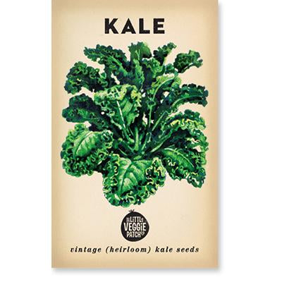 Dwarf Blue Kale Vintage Heirloom Seeds  by The Little Veggie Patch