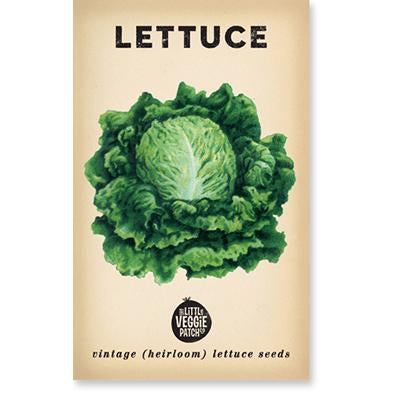 Boston Lettuce Vintage Heirloom Seeds  by The Little Veggie Patch