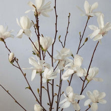 Load image into Gallery viewer, Magnolia | Merrill