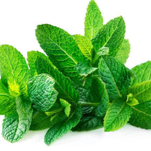 Load image into Gallery viewer, Mint 'Peppermint' | Vintage Heirloom Seeds