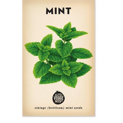 Mint Vintage Heirloom Seeds  by The Little Veggie Patch.