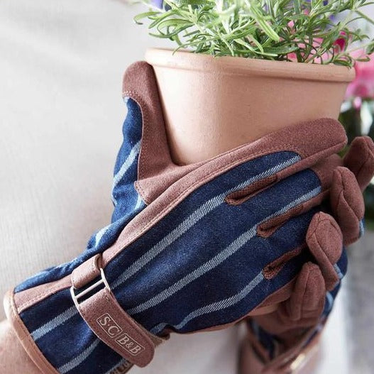 Gloves Ticking Stripe | Sophie Conran