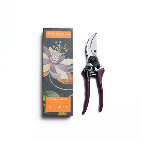 Secateurs by Burgon & Ball. By pass with purple rubber handles, presented in a gift box with passion flower motif.