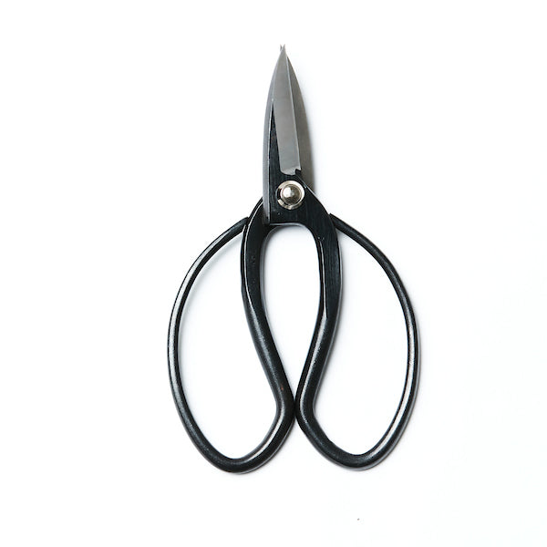Japanese steel scissors for cutting flowers and herbs.