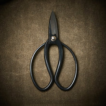 Load image into Gallery viewer, Scissors | Steel
