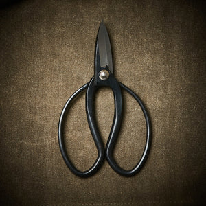Scissors | Steel