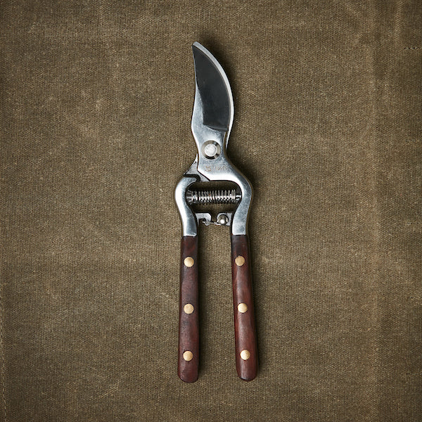 Secateurs by Burgon & Ball for the National Trust. Stainless steel, by pass with wooden handles, presented in gift box.