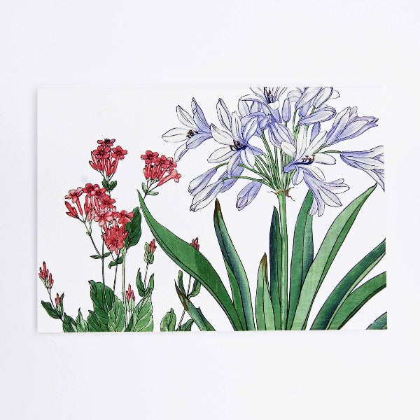 Handmade Greeting Card, featuring agapanthus flowers,  blank inside.