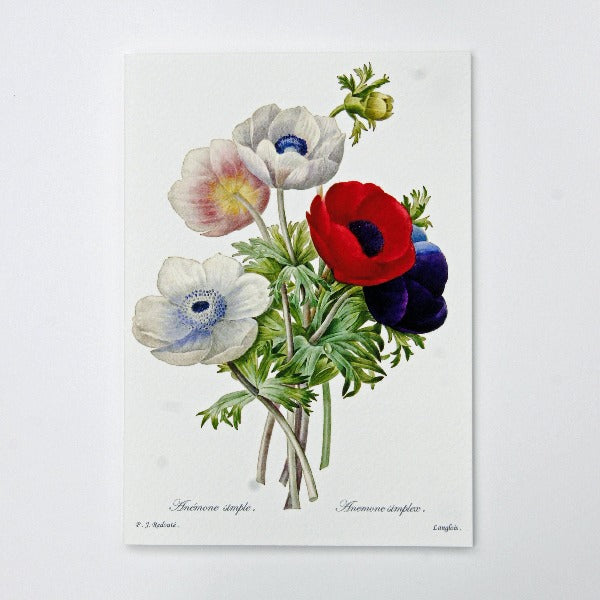  Handmade Greeting Card, featuring anemone flowers,  blank inside.