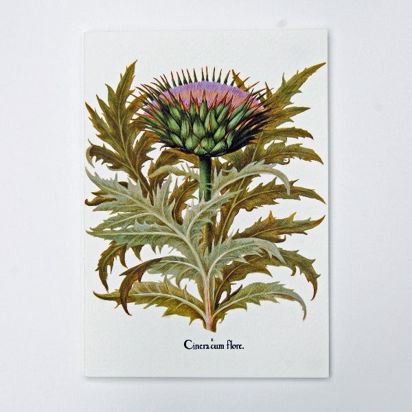Handmade Greeting Card featuring globe artichoke flowers,  blank inside.