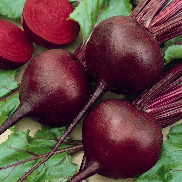 Beetroot 'Detroit' | Vintage Heirloom Seeds