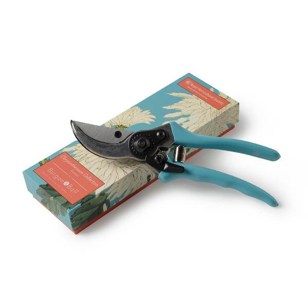 Secateurs by Burgon & Ball. By pass with blue rubber handles, presented in a gift box with chrysanthemum motif.