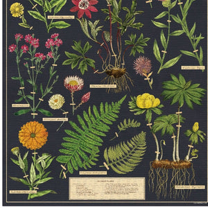Jigsaw Puzzle Herbarium | Cavallini & Co
