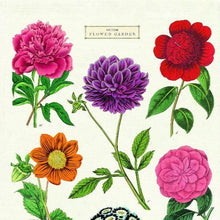 Load image into Gallery viewer, Tea Towel - Botanica  | Cavallini &amp; Co.
