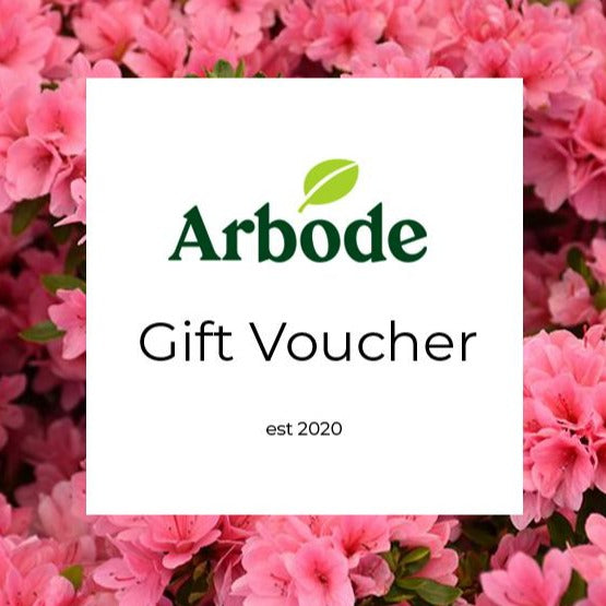 Arbode Garden + Home | Gift Card