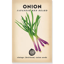 Load image into Gallery viewer, Japanese Red Beard Onion VIntage Heirloom Seeds  by The Little Veggie Patch.
