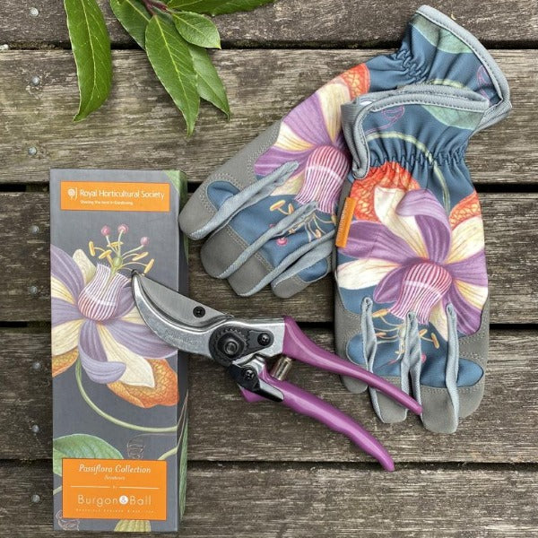 Ladies gift pack includes Passiflora secateurs and matching gardening gloves from Burgon & Ball.