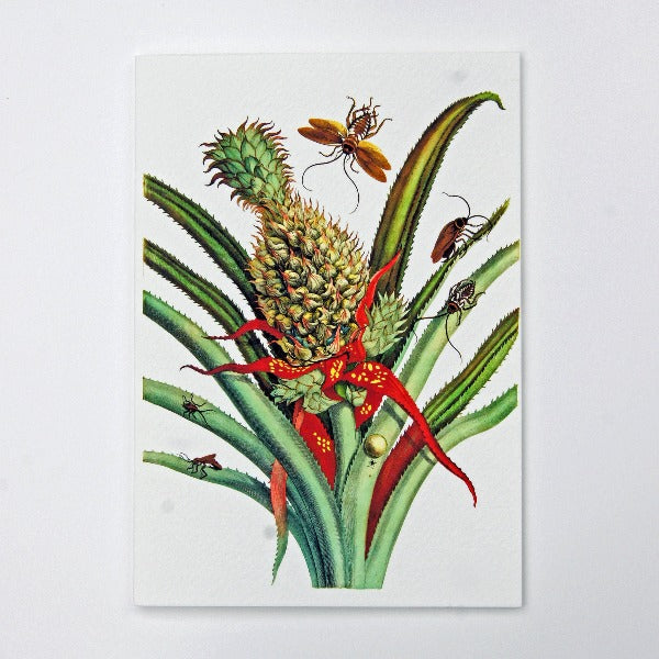 Handmade Greeting Card, featuring Pineapple Plant flowers, blank inside.