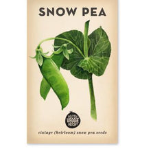 Load image into Gallery viewer, Oregon Snow Peas VIntage Heirloom Seeds  by The Little Veggie Patch,
