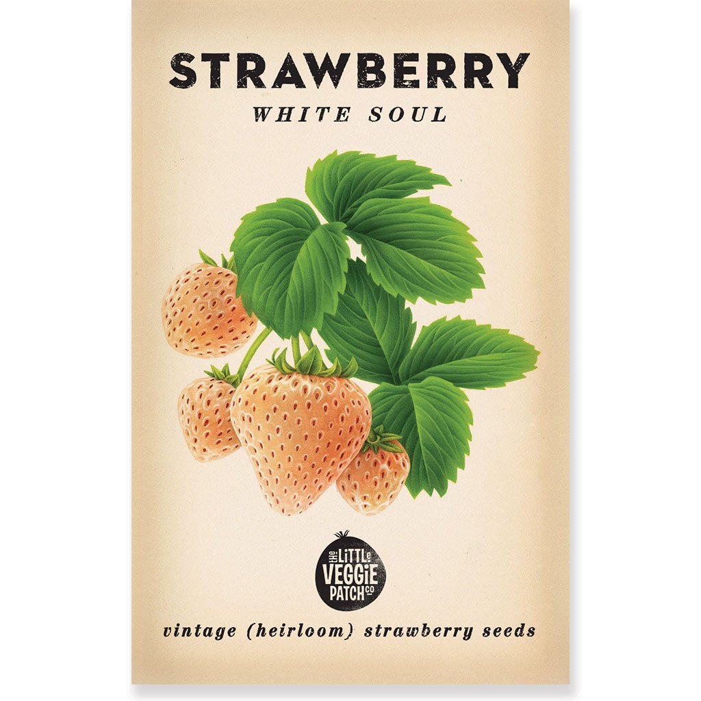 White Soul Strawberries Vintage Heirloom Seeds  by The Little Veggie Patch.