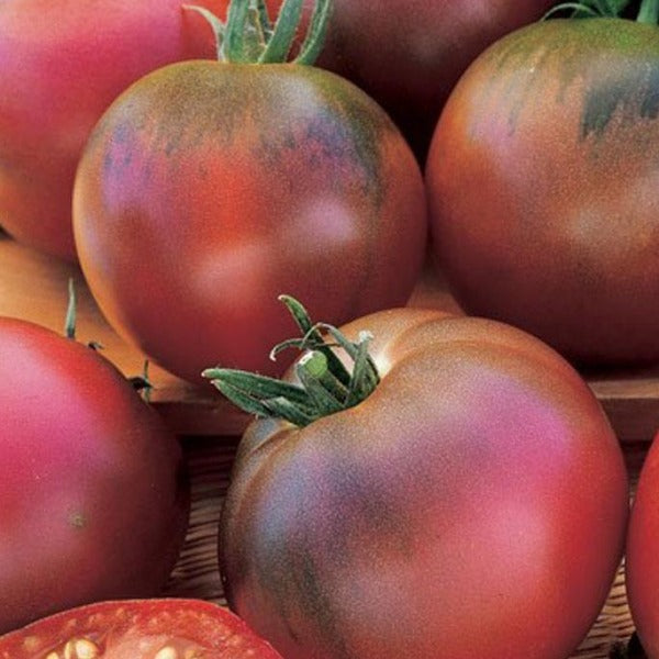 Tomato 'Black Russian' | Vintage Heirloom Seeds