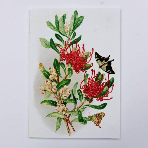 Handmade Greeting Card,  featuring Waratah & Native Arbutus flowers,  blank inside.
