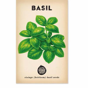 Basil Large Sweet Genova Vintage Heirloom Seeds