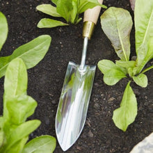 Load image into Gallery viewer, Long Thin Trowel | Sophie Conran
