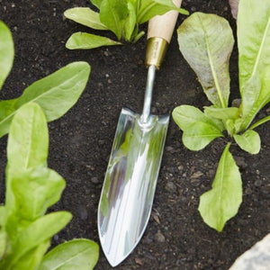 Long Thin Trowel | Sophie Conran