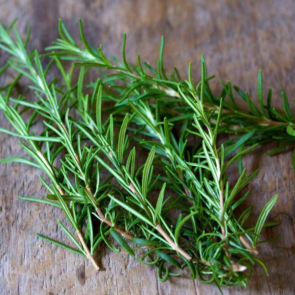 Rosemary 'Rosy' | Vintage Heirloom Seeds