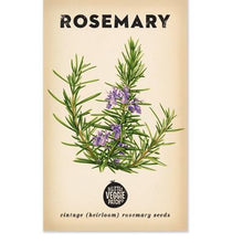 Load image into Gallery viewer, Rosemary Vintage Heirloom Seeds  by The Little Veggie Patch.
