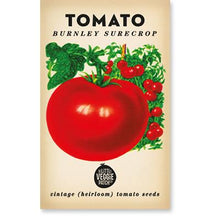 Load image into Gallery viewer, Burnley Surecrop Tomato Vintage Heirloom Seeds  by The Little Veggie Patch.
