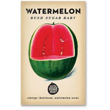 Load image into Gallery viewer, Bush Sugar Baby Watermelon Vintage Heirloom Seeds  by The Little Veggie Patch.
